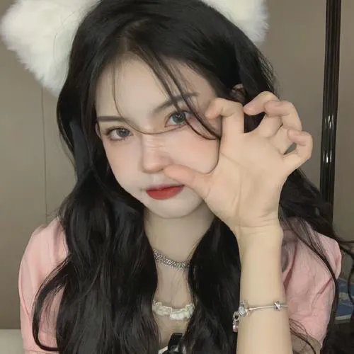 屋顶上的猫